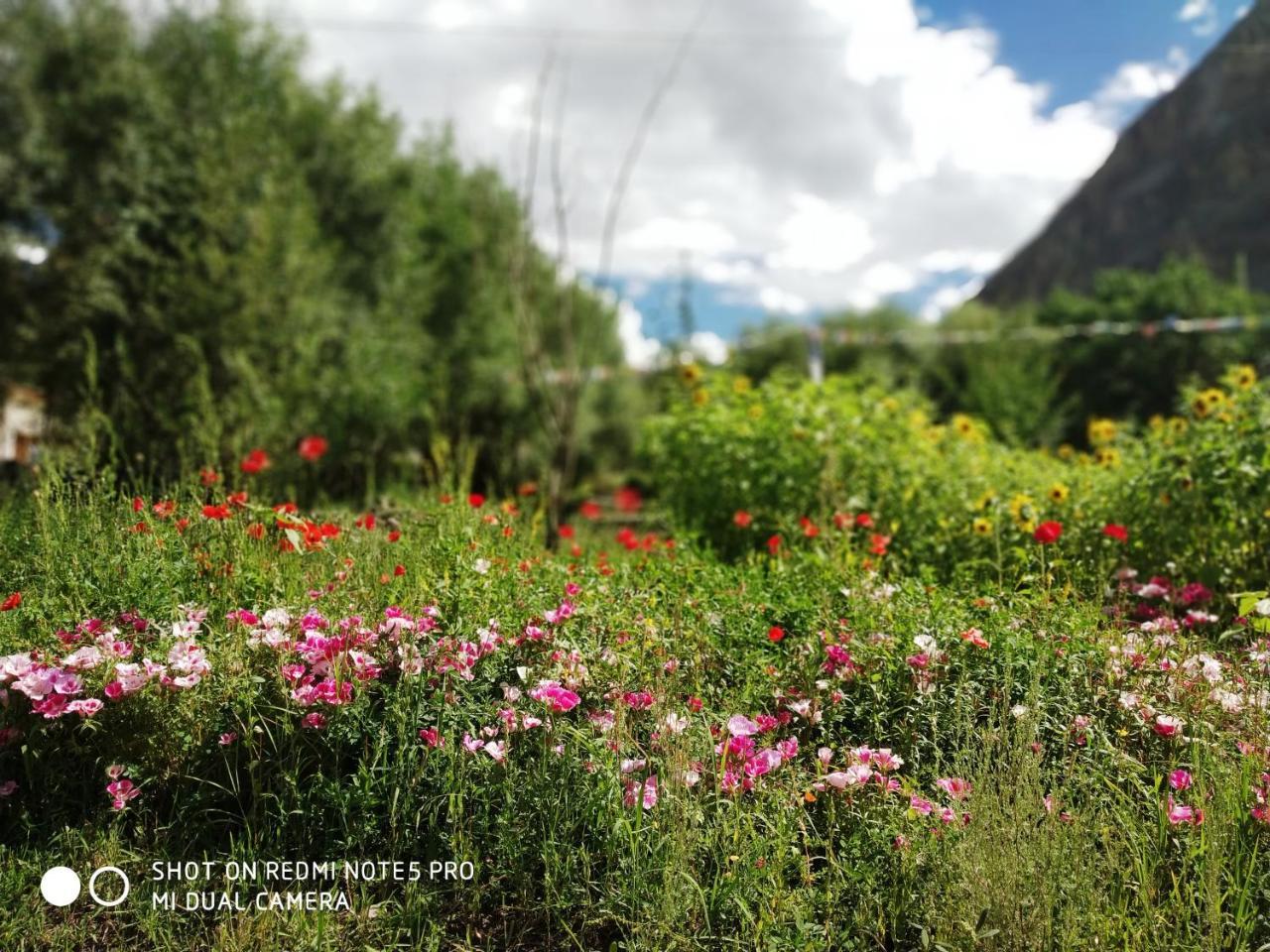 Hundar Lotus Eco Resort מראה חיצוני תמונה